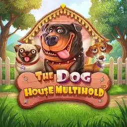 The Dog House Multihold game at Magic Red Casino for United Kingdom players